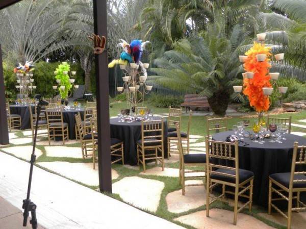 Produtor De Festas Temáticas