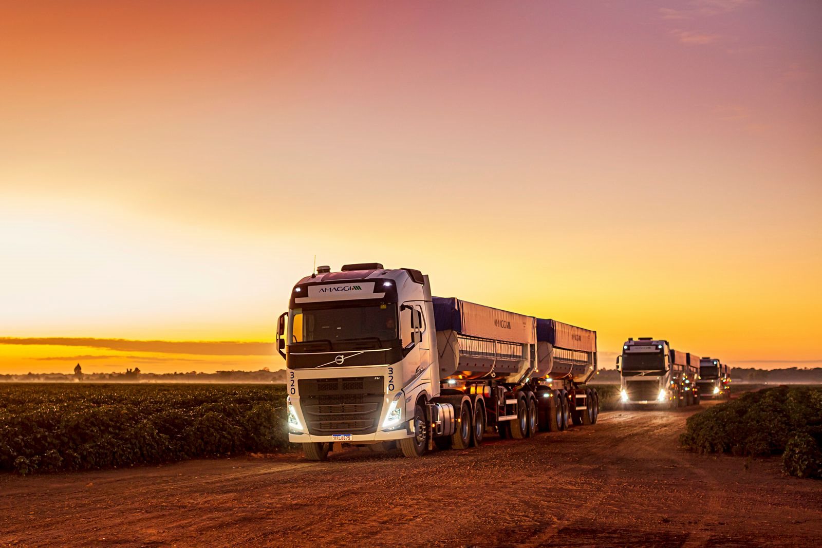 Miniatura do Transporte de Produtos Agrícolas