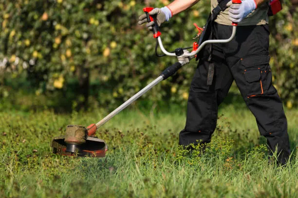 Miniatura do Rocador de grama